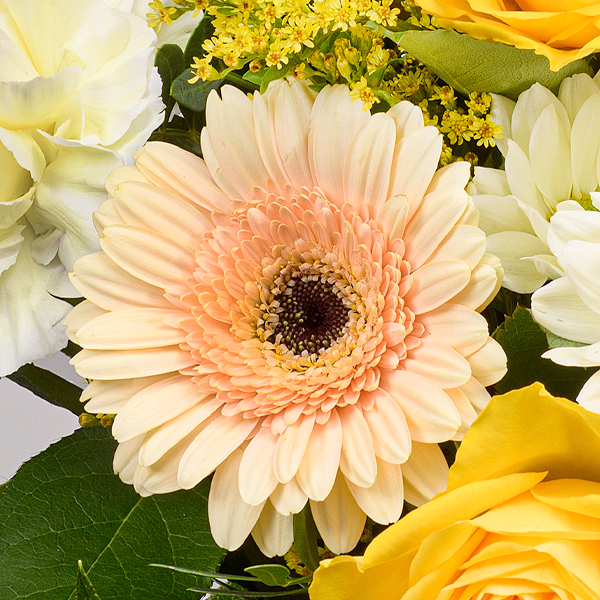 Blumenstrauß Sonnentag mit Vase & Ferrero Giotto