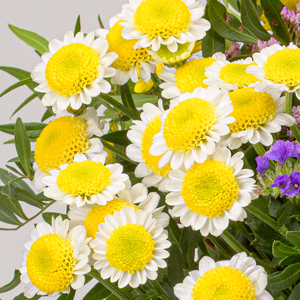 Blumenstrauß Blütenwiese mit Vase & Ferrero Giotto