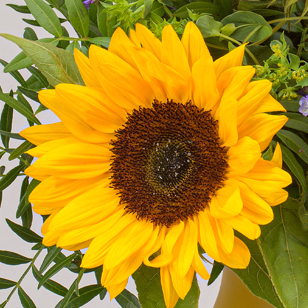 Flower Bouquet Sonnenkind with vase & Ferrero Giotto