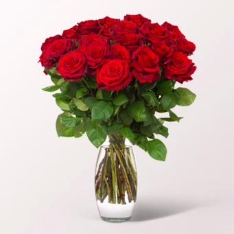 Rote Angebots-Rosen im Bund mit Vase & Ferrero Giotto