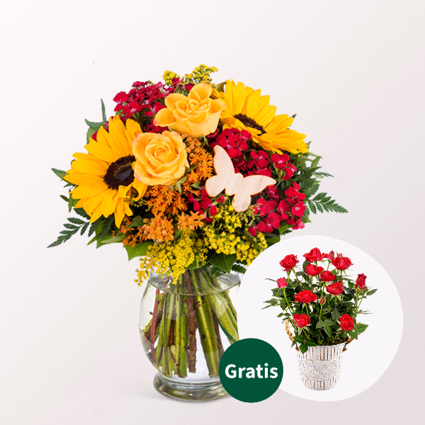Blumenstrauß Sommergefühl mit Rote Topfrose & Vase & Ferrero Giotto