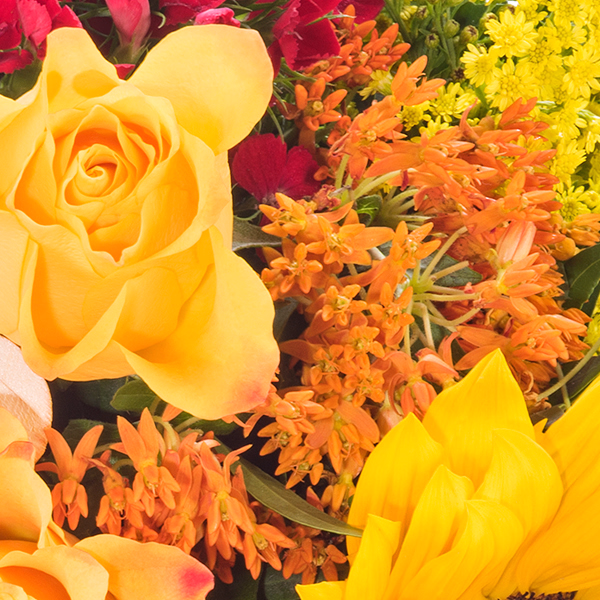 Blumenstrauß Sommergefühl mit Rote Topfrose & Vase & Ferrero Giotto