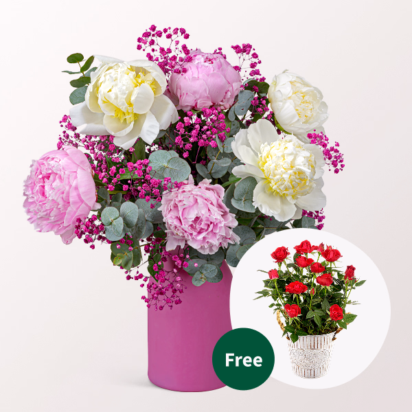 Peonie Bouquet Rosenflair with Red Potted Rose & vase & Ferrero Giotto