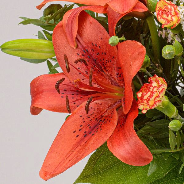 Blumenstrauß Symphonie mit 2 Kinokarten & Vase