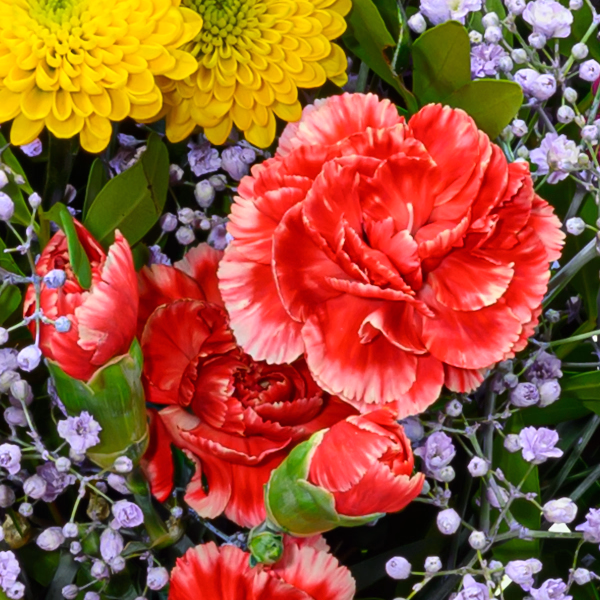 Flower Bouquet Blütenfreude with Red Potted Rose & vase & Ferrero Giotto