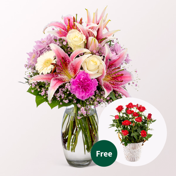 Flower Bouquet Glücksmoment with Red Potted Rose & vase & Ferrero Giotto