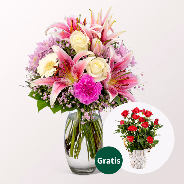 Blumenstrauß Glücksmoment mit Rote Topfrose & Vase & Ferrero Giotto