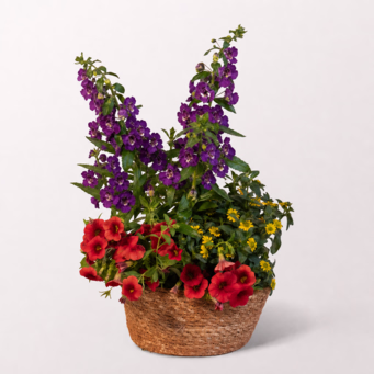 Summer Breeze in a Seegras Bowl