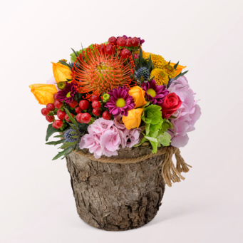 Arrangement Fairytale mit SunLolly Himbeere