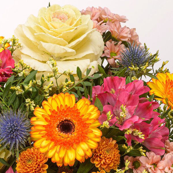 Premiumstrauß Herbstlust mit Premiumvase & Halloren Kugeln