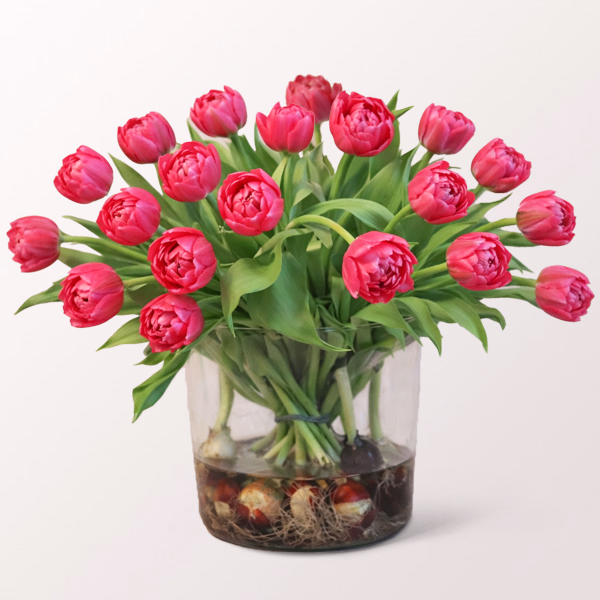 Frühlingsfrische im Glas