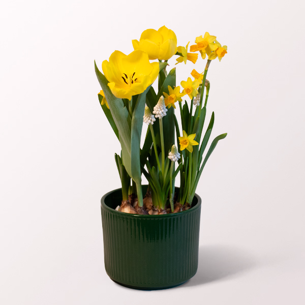 Easter Surprise in a Pot