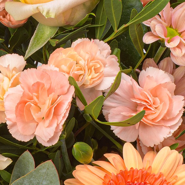 Blumenstrauß Zarte Grüße mit Vase & Ferrero Giotto 3er