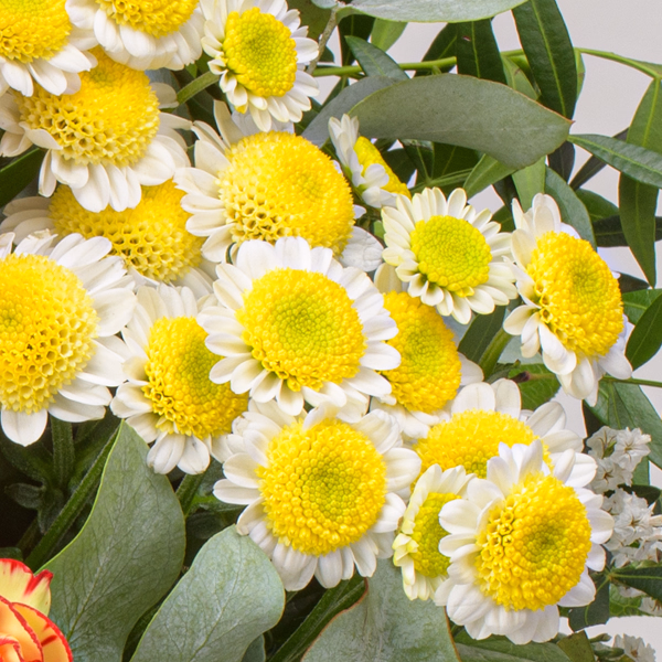 Blumenstrauß Sonnenfreude mit Vase & Ferrero Giotto 3er