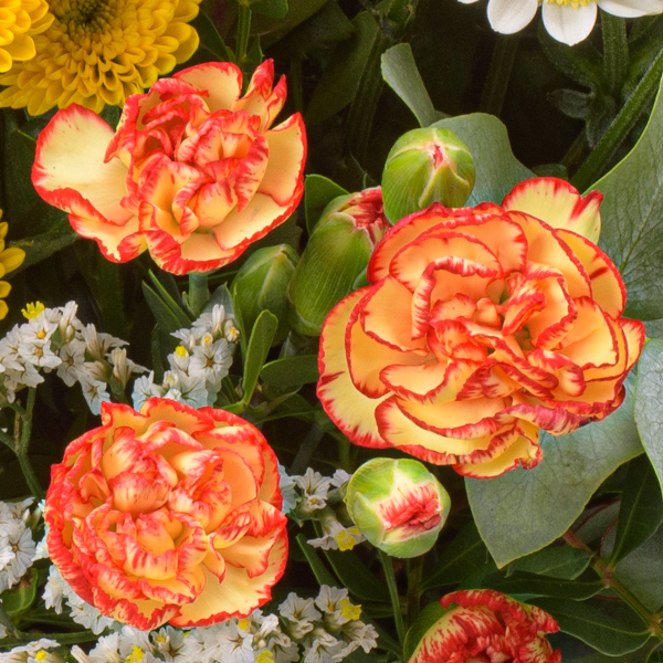 Flower Bouquet Sonnenfreude with vase & 3 Ferrero Giotto