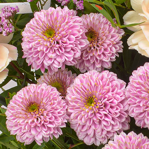 Flower Bouquet Beste Mama with vase & 3 Ferrero Giotto