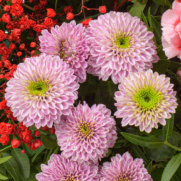 Blumenstrauß Blütenromanze mit Vase & Ferrero Giotto 3er