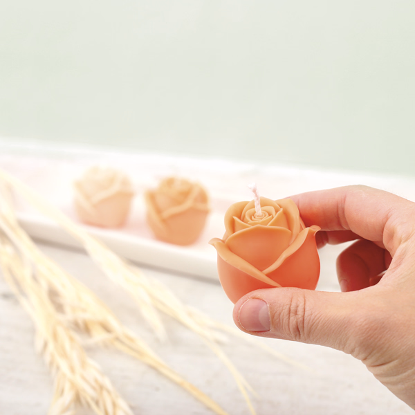 DIY Lavender-Scented Soap Kit