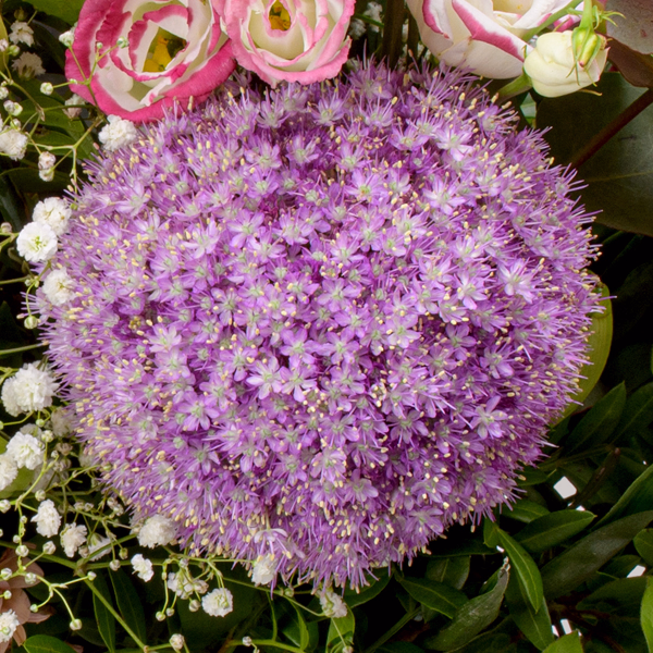 Premiumstrauß Schön, dass es dich gibt mit Premiumvase & Ferrero Giotto 3er