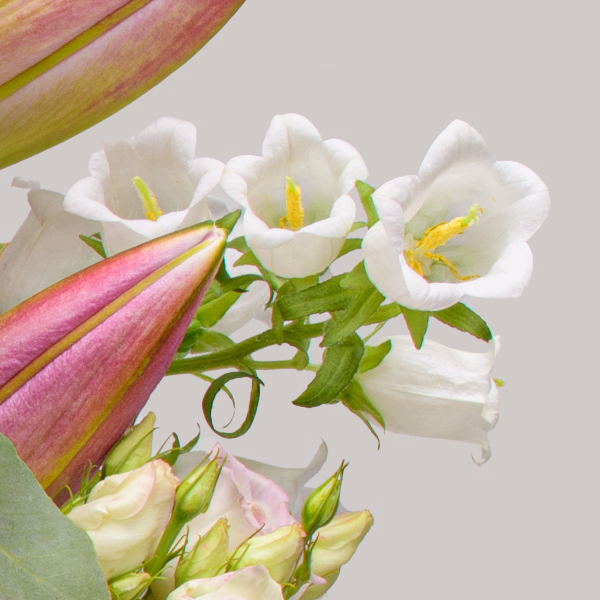 Premium Bouquet Schön, dass es dich gibt with Premium Vase & 3 Ferrero Giotto