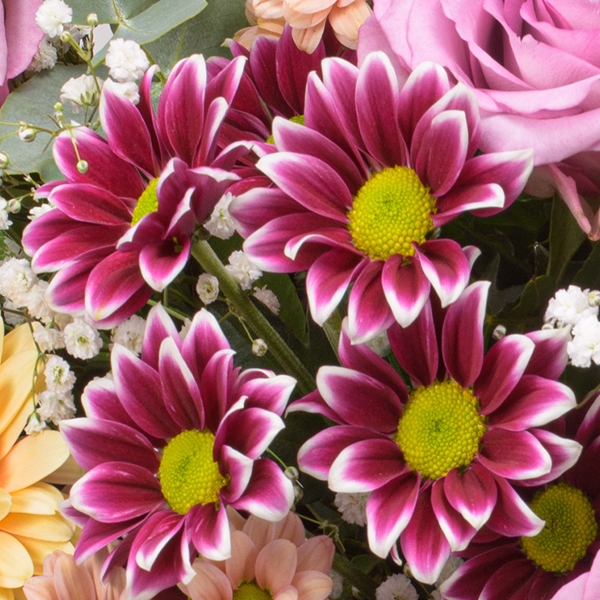 Premium Bouquet Prachtvoll with Premium Vase & 3 Ferrero Giotto