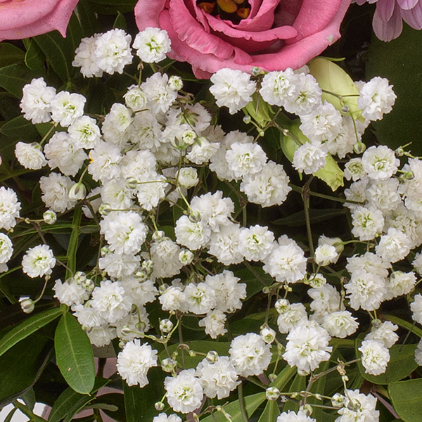 Premium Bouquet Mit Liebe with Premium Vase & 3 Ferrero Giotto