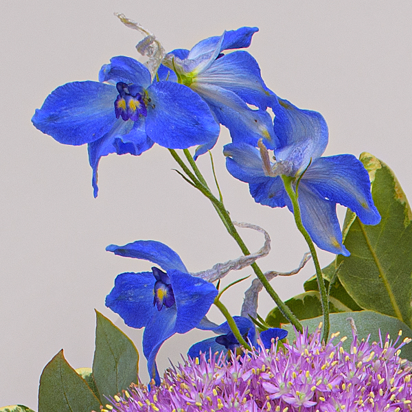 Flower Bouquet Herzlich with vase & 3 Ferrero Giotto