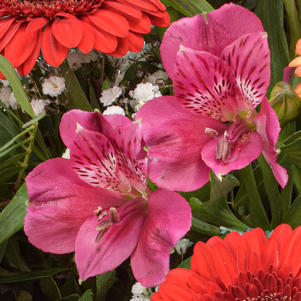 Blumenstrauß Blütenpoesie mit Vase & Ferrero Giotto 3er