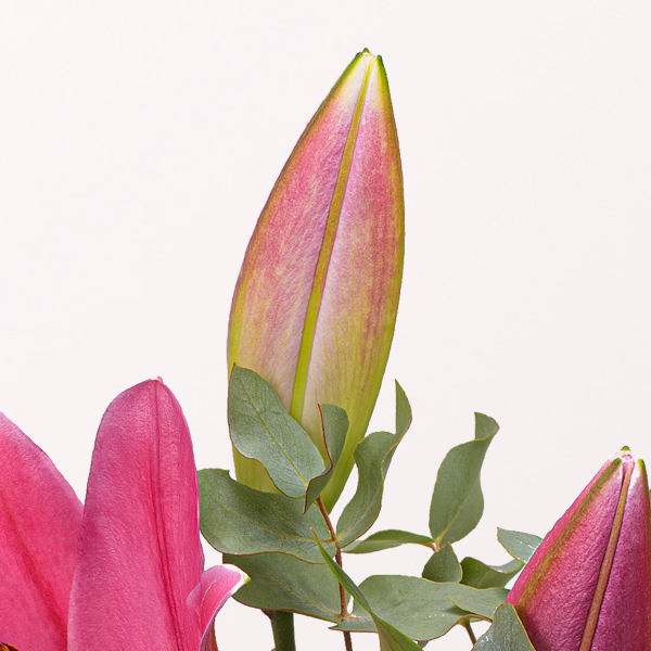 Flower Bouquet Für Mama with vase & 3 Ferrero Giotto