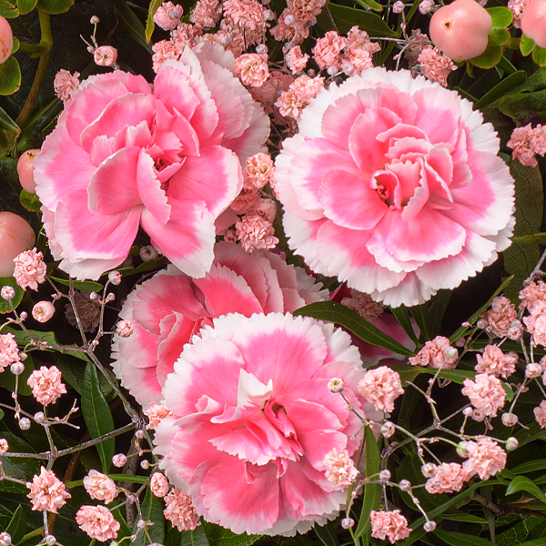 Blumenstrauß Muttertagsfreude mit Vase & Ferrero Giotto 3er