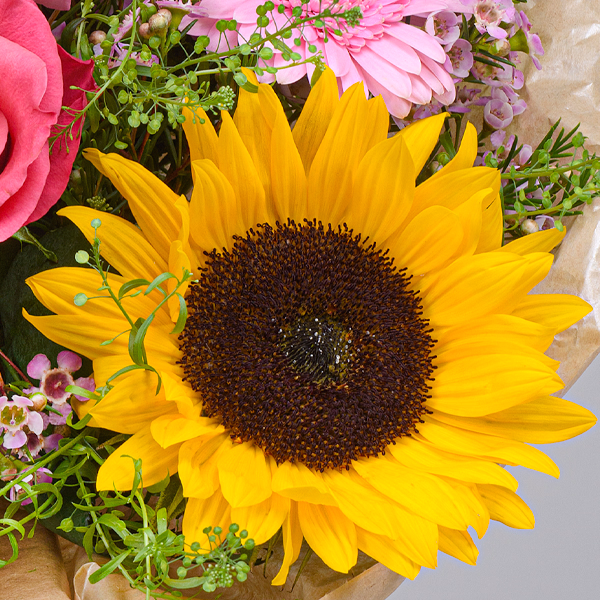 Blumenstrauß Pure Freude mit Vase & Ferrero Giotto 3er