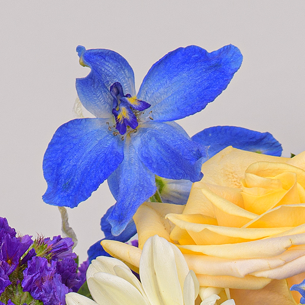 Arrangement Joy mit Vase & Ferrero Giotto 3er