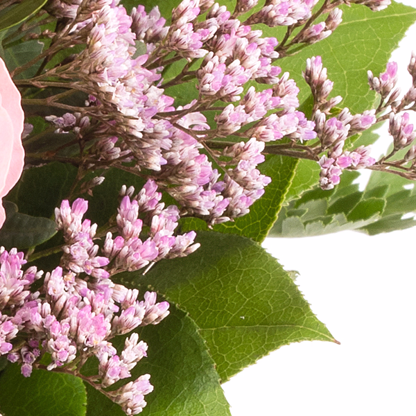 Rosenstrauß Harmony mit Vase & Sachertorte