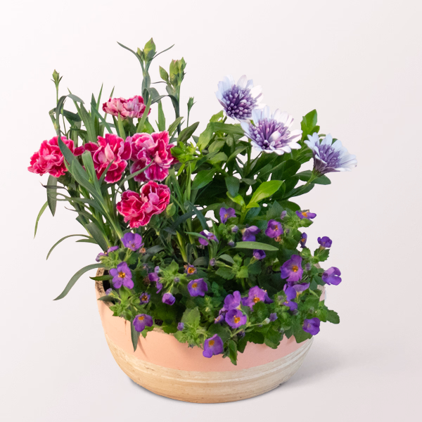 Basket Blütenzauber