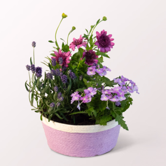 Basket Blütenharmonie