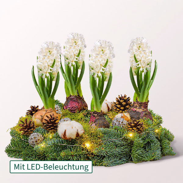 Arrangement Frohe Weihnachten