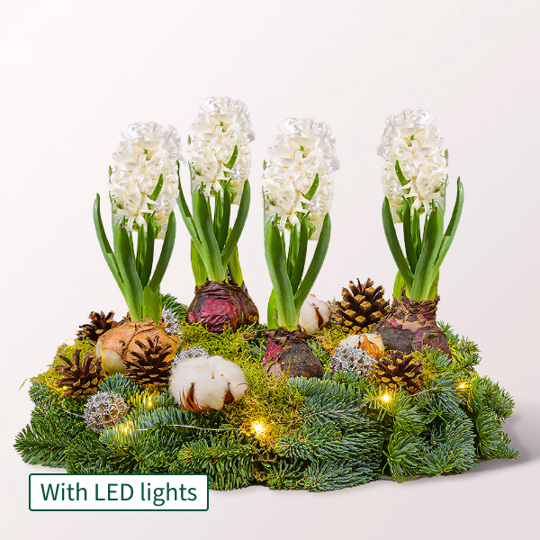 Arrangement Merry Christmas