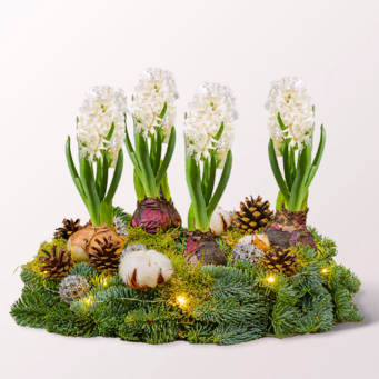 Arrangement Merry Christmas