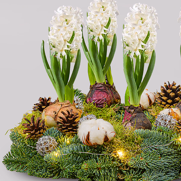 Arrangement Frohe Weihnachten