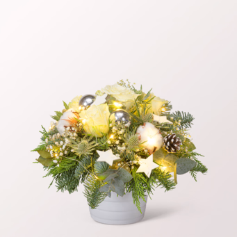 Arrangement Winterblüte
