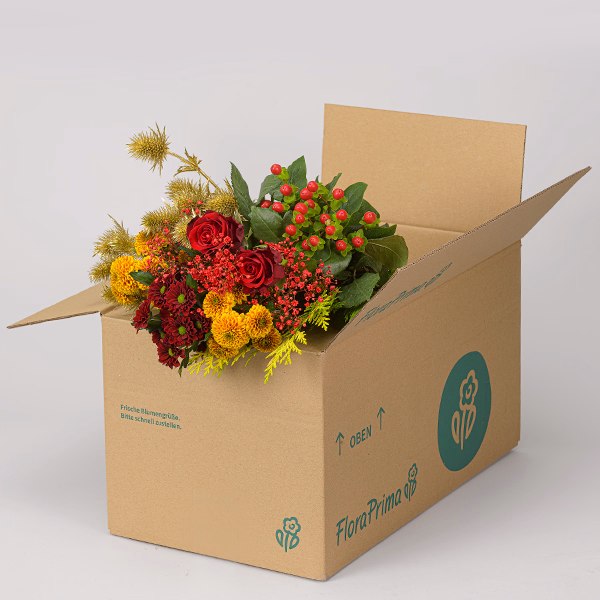 Flower Mix Blütenstar with Halloren Balls