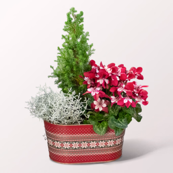 Festive splendour in a Christmassy Bowl