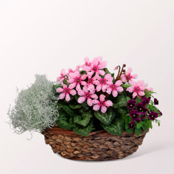Autumn romance in a Basket