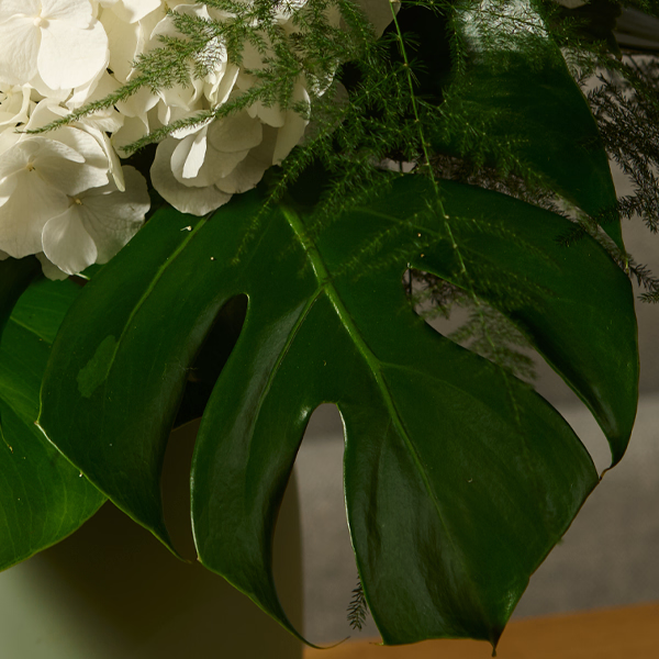Little Beauty with Halloren Balls & vase