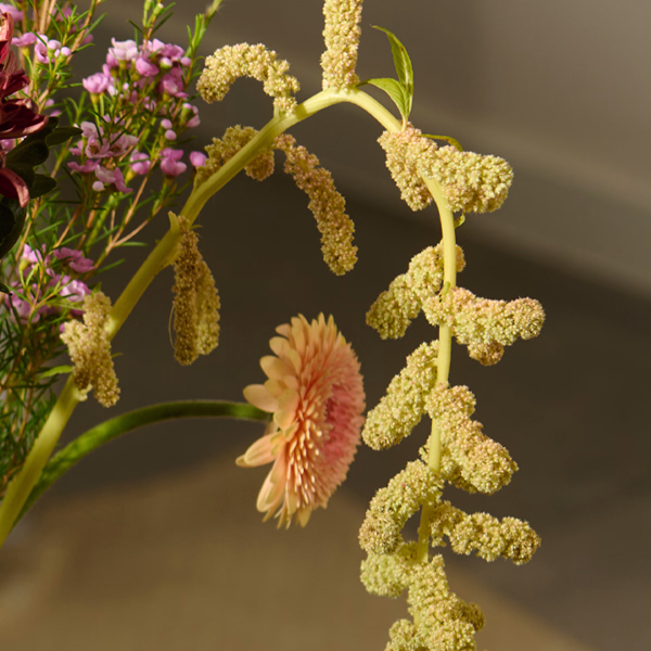 Sweet Surprise mit Halloren Kugeln & Vase