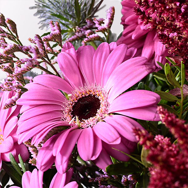 Purple Mood with Halloren Balls & vase
