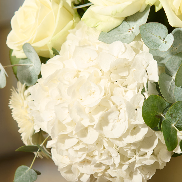 Romance with Premium Vase & Halloren Balls