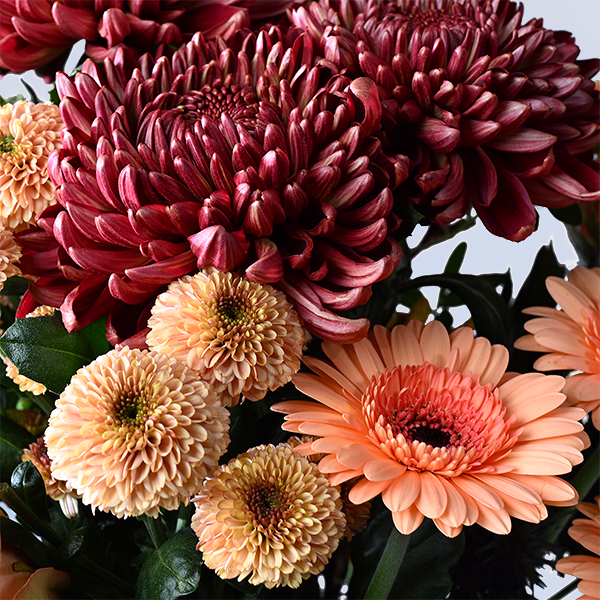 Vintage with Premium Vase & Halloren Balls