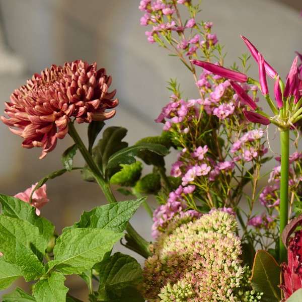 Wild Beauty mit Premiumvase
