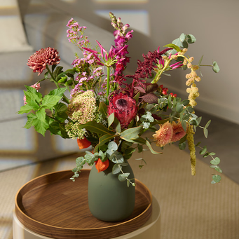 Wild Beauty with Premium Vase & Halloren Balls